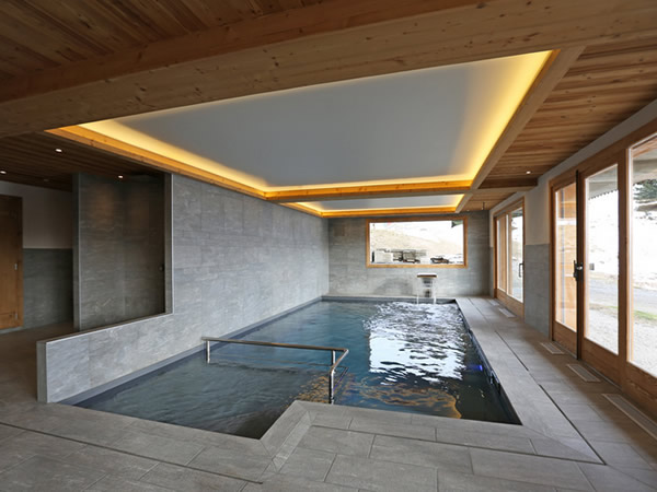 Indoor Pool Sapins