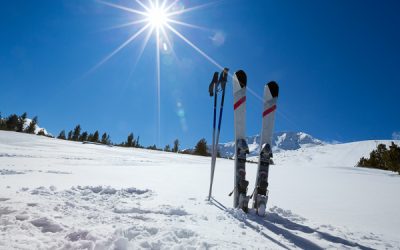 Bookings Open for Season 2026